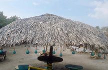 Cartagena Mangrove Tour