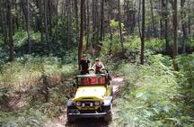 4WD Jeep Mount Batur Sunrise Experience By Bali Volcano Jeep