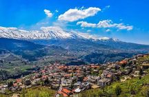 Beirut to Qadisha Valley, Bcharri & Cedar: Daily Tours with Lunch
