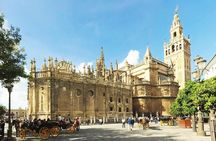 Bike tour through the monumental area of Seville