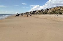 Excursion to the beaches of Huelva from Seville - Private tour
