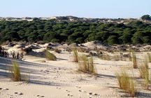 Excursion to the beaches of Huelva from Seville - Private tour