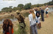 3 Days Masai Mara Joining Safari (lenchada)