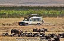 5 Days Serengeti Camping Safari