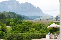 Wine-Tasting and Whale-Watching Tour from Cape Town