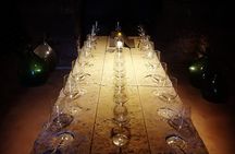 Unique EnoBike experience with tasting in 2 excellent wineries