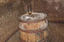 Unique EnoBike experience with tasting in 2 excellent wineries