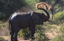 2 Days Africa Safari