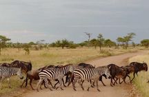 2 Days Africa Safari