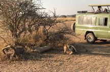 2 Days Africa Safari