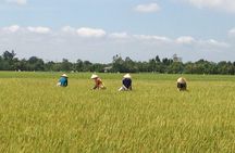 Private Authentic Mekong River Full Day Trip - Non Touristic Mekong delta