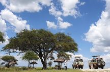 3 Days Tanzania Lodge Safari