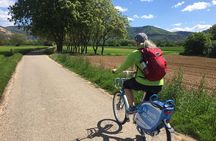 Bicycle Tour from Heidelberg to quaint Ladenburg.