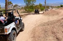 Half day in Buggy Lake Takerkoust and Desert Agafay