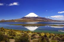 Arica: Full day to Lauca National Park and Chungara Lake, meals included