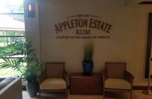 YS Falls and Appleton Estate Private Rum Tour 