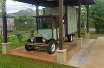 YS Falls and Appleton Estate Private Rum Tour 