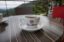Coffee Farm Experience at Hacienda San Alberto from Salento