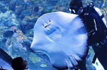 Cairns Aquarium and small group City Sightseeing Tour
