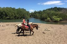 Jungle and Beach Horseback Riding Tour - 2H 1/2