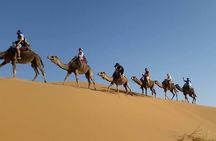 From Marrakech 3 Days Tour To Merzouga Sahara Desert