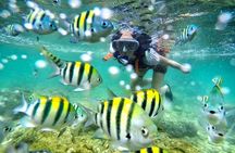 Yogyakarta Nglambor Beach Snorkeling Tour with Private Transport