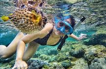Yogyakarta Nglambor Beach Snorkeling Tour with Private Transport
