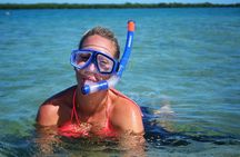 Low Island Snorkelling Private Charter Aboard Authentic Chinese Junk Boat