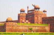 Private Delhi One Day Tour by Car