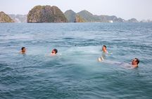 Halong Bay Luxury Day Trip (8Hours)