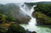 Day Trip to Mollem National Park Including Dudhsagar Falls and Jeep Safari from Goa