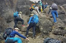 8 Days Lemosho Route Climbing