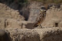 Small-Group Tour to Tambo Colorado from Pisco
