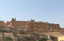 Over Night Private Tour Of Jaipur From New Delhi