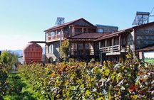 Kakheti Wine Tour and Sightseeing 