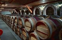 Kakheti Wine Tour and Sightseeing 
