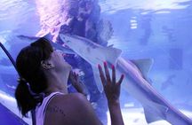 Antalya Tunnel Aquarium - Departure from Side