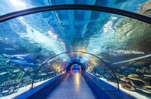 Antalya Tunnel Aquarium - Departure from Side