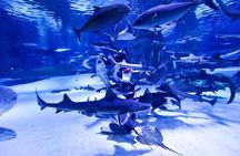 Antalya Tunnel Aquarium - Departure from Side