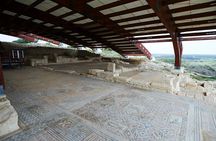 Kourion Ruins, Kolossi & Winery Tour from Aphrodite Hills