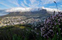 Full Day Private City & Kirstenbosch Gardens