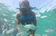Snorkeling Catamaran Tour & Parasailing