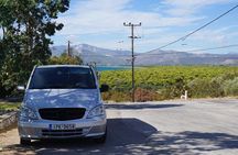 Marathon & Thermopylae Battlefields Private Day Tour from Athens