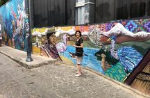 Full Day Group Tour - Viña Del Mar-Valparaiso -Casablanca -Reñaca