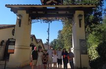 Half-Day Private Tour: Concha y Toro Vineyard from Santiago Winetasting Included