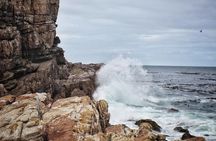 Cape Peninsula Private Tour