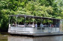 Manchac Swamp Boat Tour with Shuttle Service from New Orleans