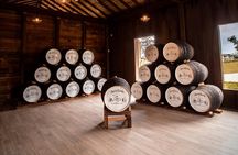 Ron del Barrilito Rum Tasting Skip-the-Line Tour