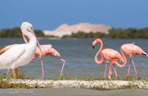 Private Yucatan Discovery Tour