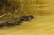 Private Yucatan Discovery Tour